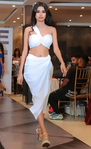 Ghaziabad escorts in hotel